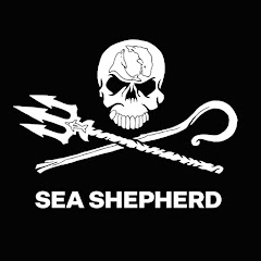 Sea Shepherd