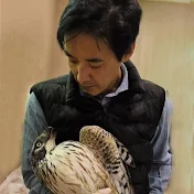 猛禽類医学研究所 齊藤慶輔（Keisuke Saito IRBJ）