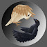 2B2tSN8pum4-channel-avatar-Sendarya