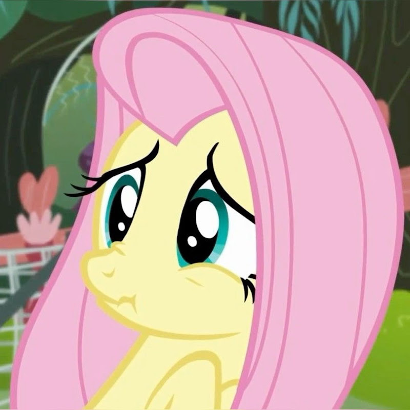 NatureShy icon