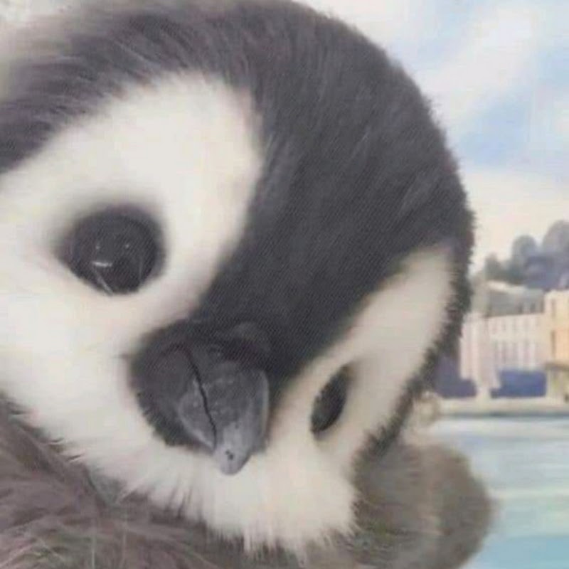 Hải Học Hỏi