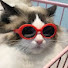 U40hVSUomBg-channel-avatar-salaamsalamat