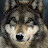 @alpha-m36's avatar