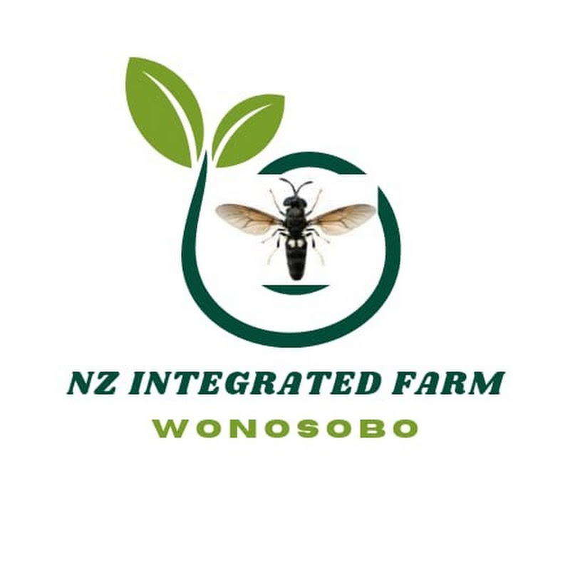 NZ BSF FARM WONOSOBO