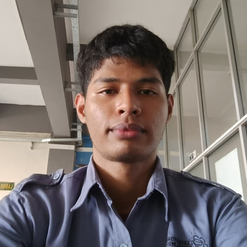 Damir Han