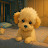 @Yang-hu1mr