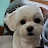 @짱보리-j1v