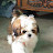 @pavan-y4t7i Avatar