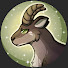 v8YbzUp_SEs-channel-avatar-Sour iBex