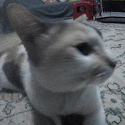ezfad faez 2