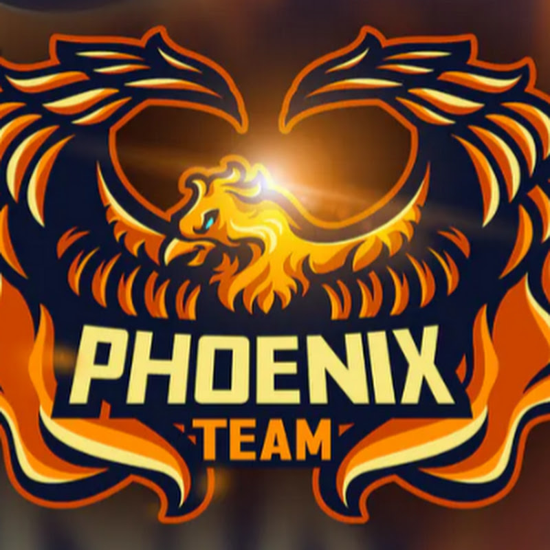PHOENIX TEAM
