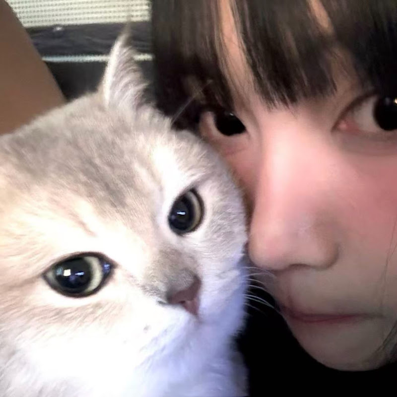 별빛연애