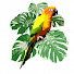 zkSBQwCsAt4-channel-avatar-Travel People