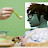 @ishay3000's avatar