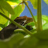 rEbU-ybYF-0-channel-avatar-DIY Reptiles
