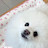 @두부-f7r