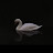 @user-gg3jh7ef8s