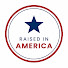 MXVWewOBt28-channel-avatar-RAISEDINAMERICA🇺🇸