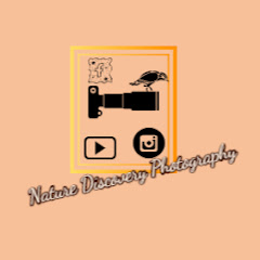 Nature Discovery Photography