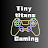 Tiny Titans Gaming