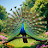 @hemalatha19878 Avatar