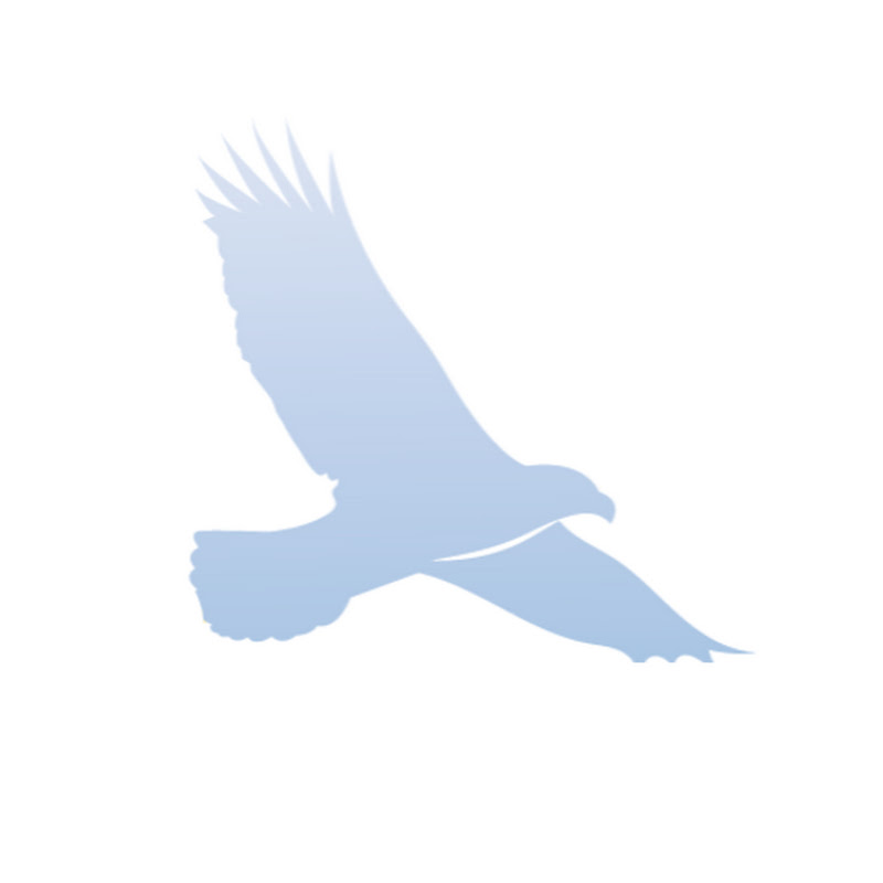 Fly High Investing