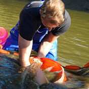 The Koi Partner