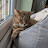 @joesarchive's avatar