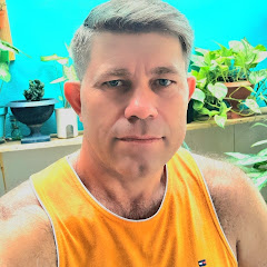 @honestidade@caráter47