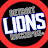 Rocked On Detroit Lions