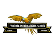 Parrots Information Channel