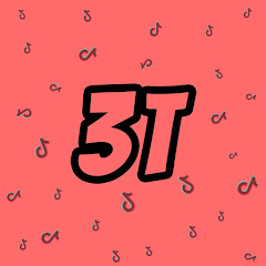 3T