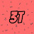 3T