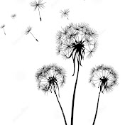 Dandy DIYER