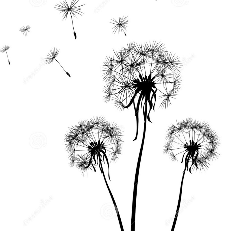 Dandy DIYER