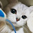 @게으른고양이-w6k