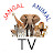 JANGAL ANIMAL TV