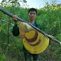 Hive Hunter's Tales Avatar