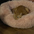 tifLyDatTm8-channel-avatar-Virgb
