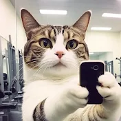 猫の団子