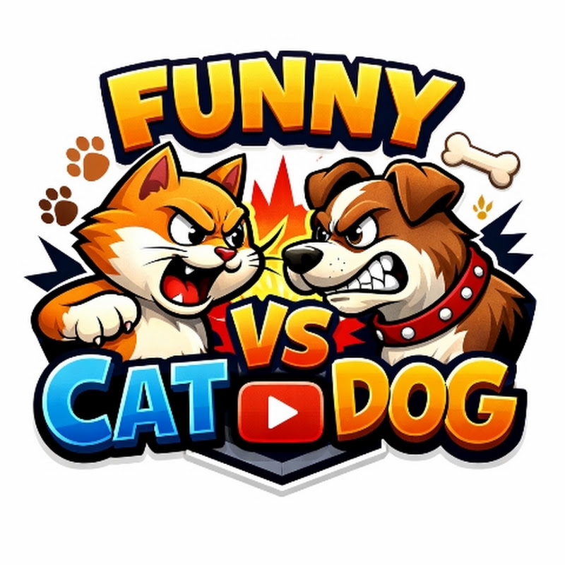 FUNNY CAT & DOG