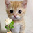 الصورة الرمزية لـ @bosse_2025