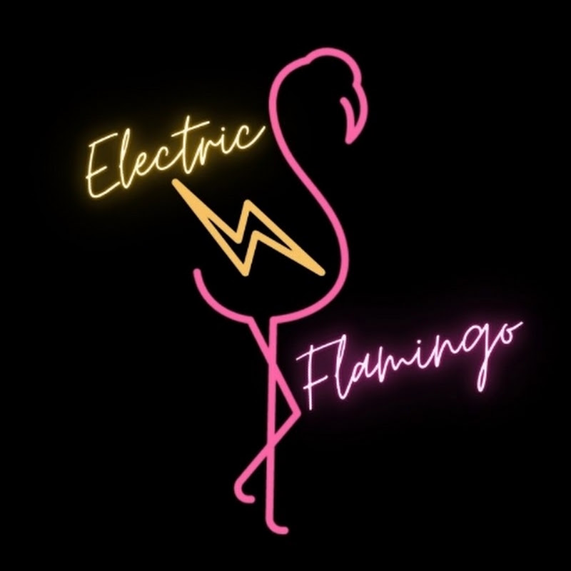 Electric Flamingo