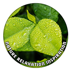 Логотип каналу Nature Relaxation Inspiration