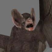 demonflyingfox