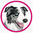HCNcq7KYANc-channel-avatar-Kikopup