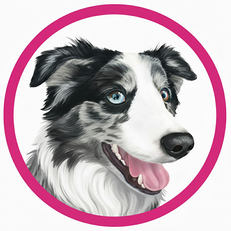 Dog Training by Kikopup