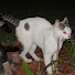 7rZF_kStPzA-channel-avatar-Elle's Notes