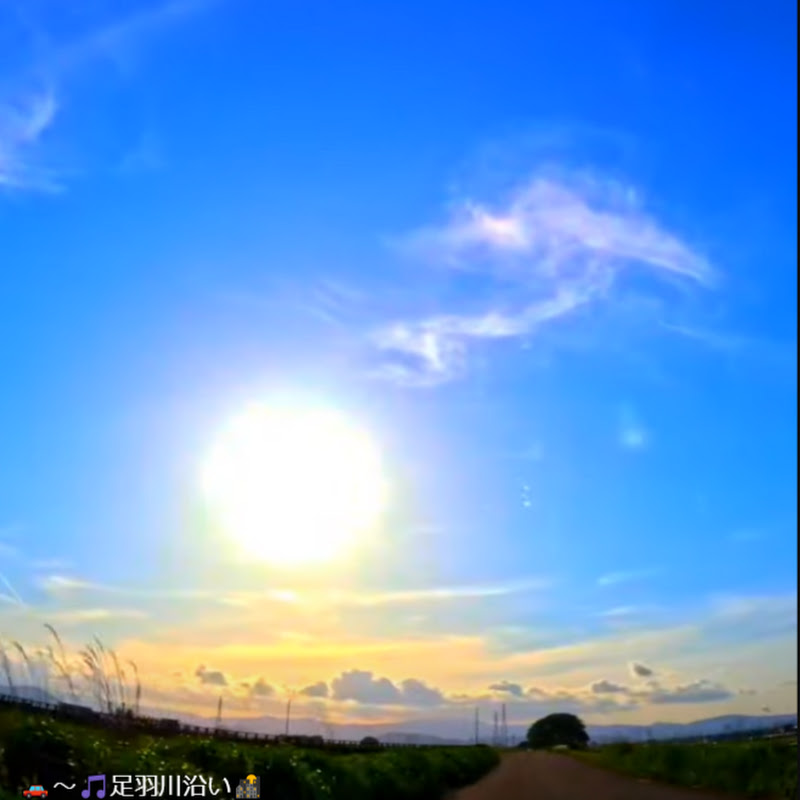 はしるクン🎵日常