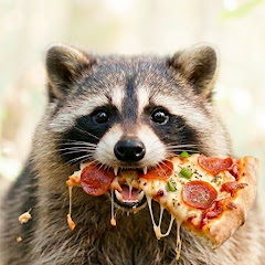 Snack Wild channel avatar
